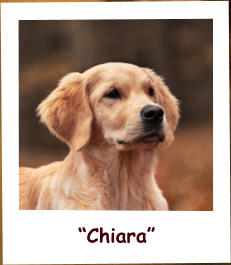 “Chiara”