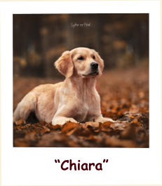 “Chiara”