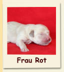 Frau Rot