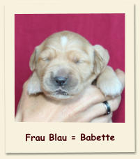 Frau Blau = Babette