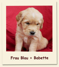 Frau Blau = Babette